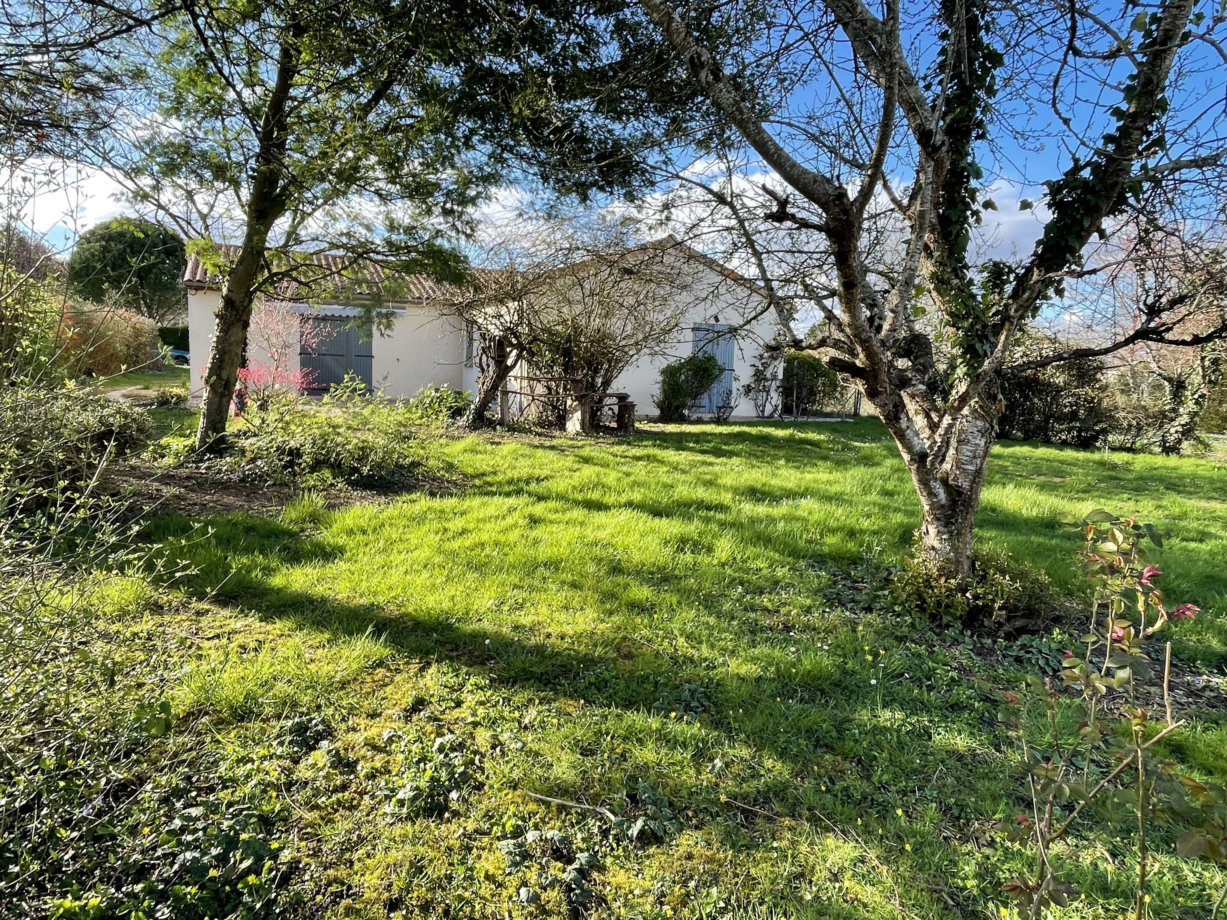 Jardin boisé maison campagne